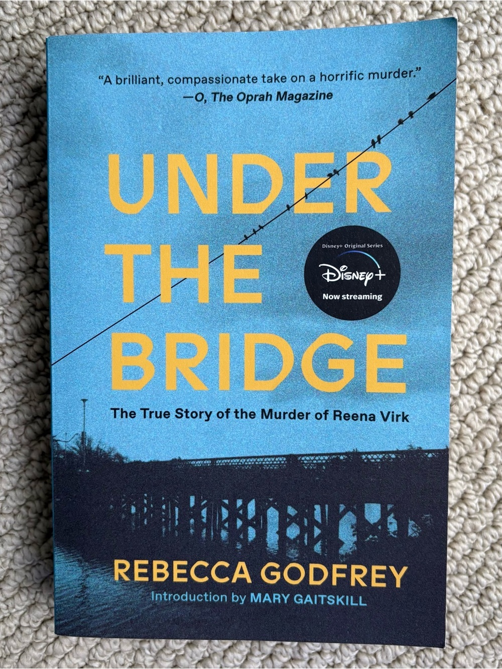Under the Bridge by Rebecca Godfrey
